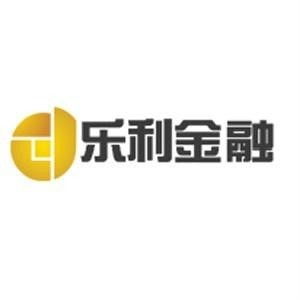 合肥乐利金融信息咨询服务 赋能企业与个人的金融决策