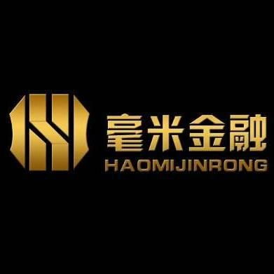 上海毫米金融信息服务 专业金融信息咨询的领航者